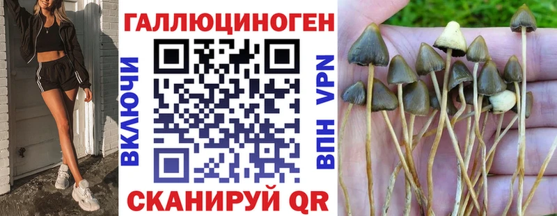 Галлюциногенные грибы прущие грибы  MEGA рабочий сайт  Холмск 