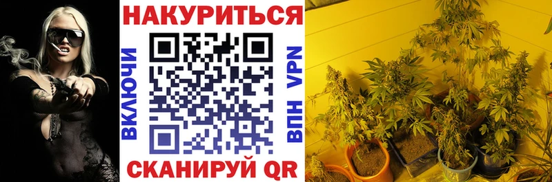 MEGA   купить наркотик  Холмск  Шишки марихуана VHQ 