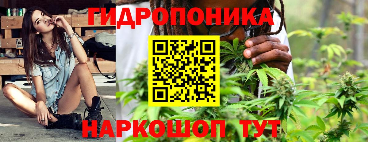 Конопля план  Каннабис гибрид  Бошки марихуана семена  Вход с VPN  Холмск 